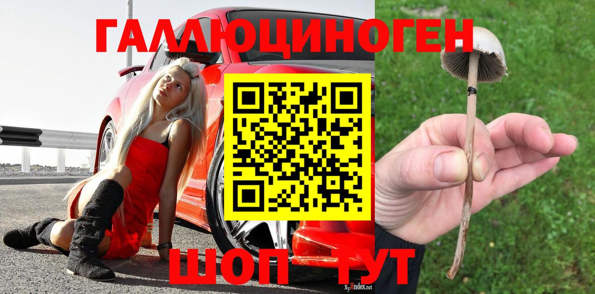 Галлюциногенные грибы MAGIC MUSHROOMS Балашиха