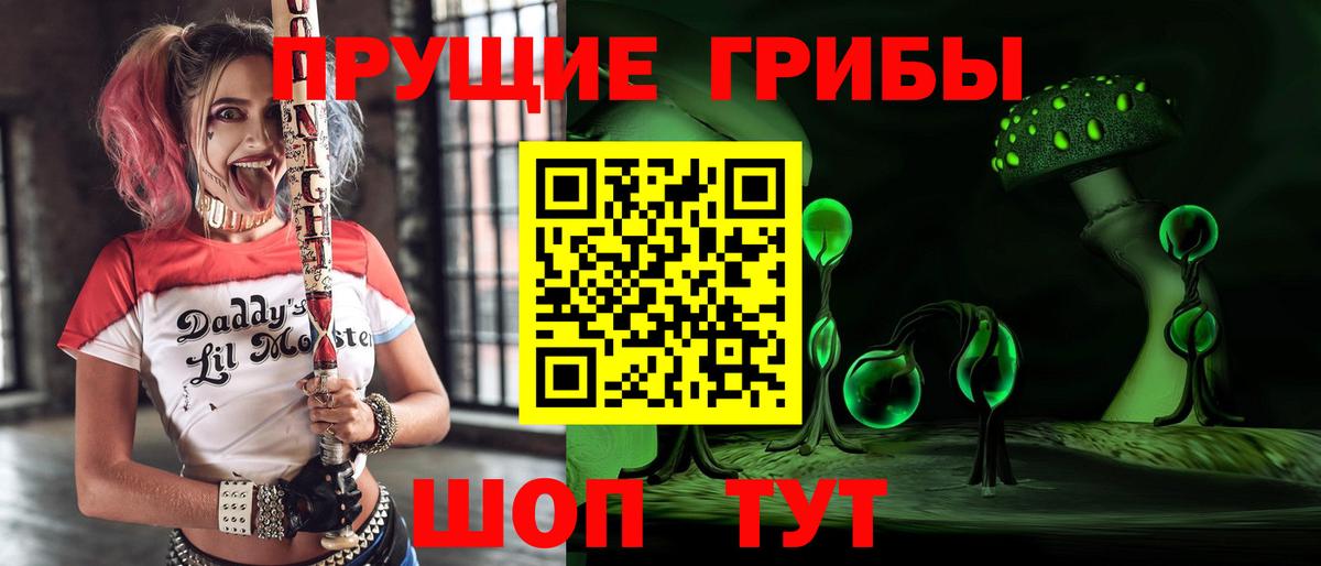 Балашиха  Псилоцибиновые грибы Psilocybe  Псилоцибиновые грибы MAGIC MUSHROOMS  Вход с VPN 